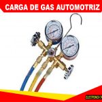 <strong>Carga de Gas Automotriz</strong>